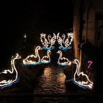 The annual stroll around Angarrack #angarrack #christmas #7swansaswimming #river #christmaslights #cornwall The annual stroll around Angarrack #angarrack #christmas #7swansaswimming #river #christmaslights #cornwall